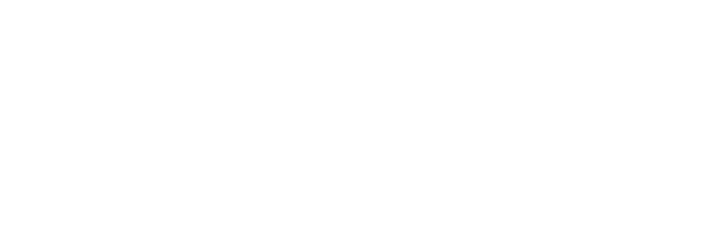 MS Partner